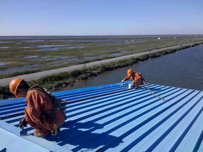 宁陵彩钢瓦屋面防腐翻新